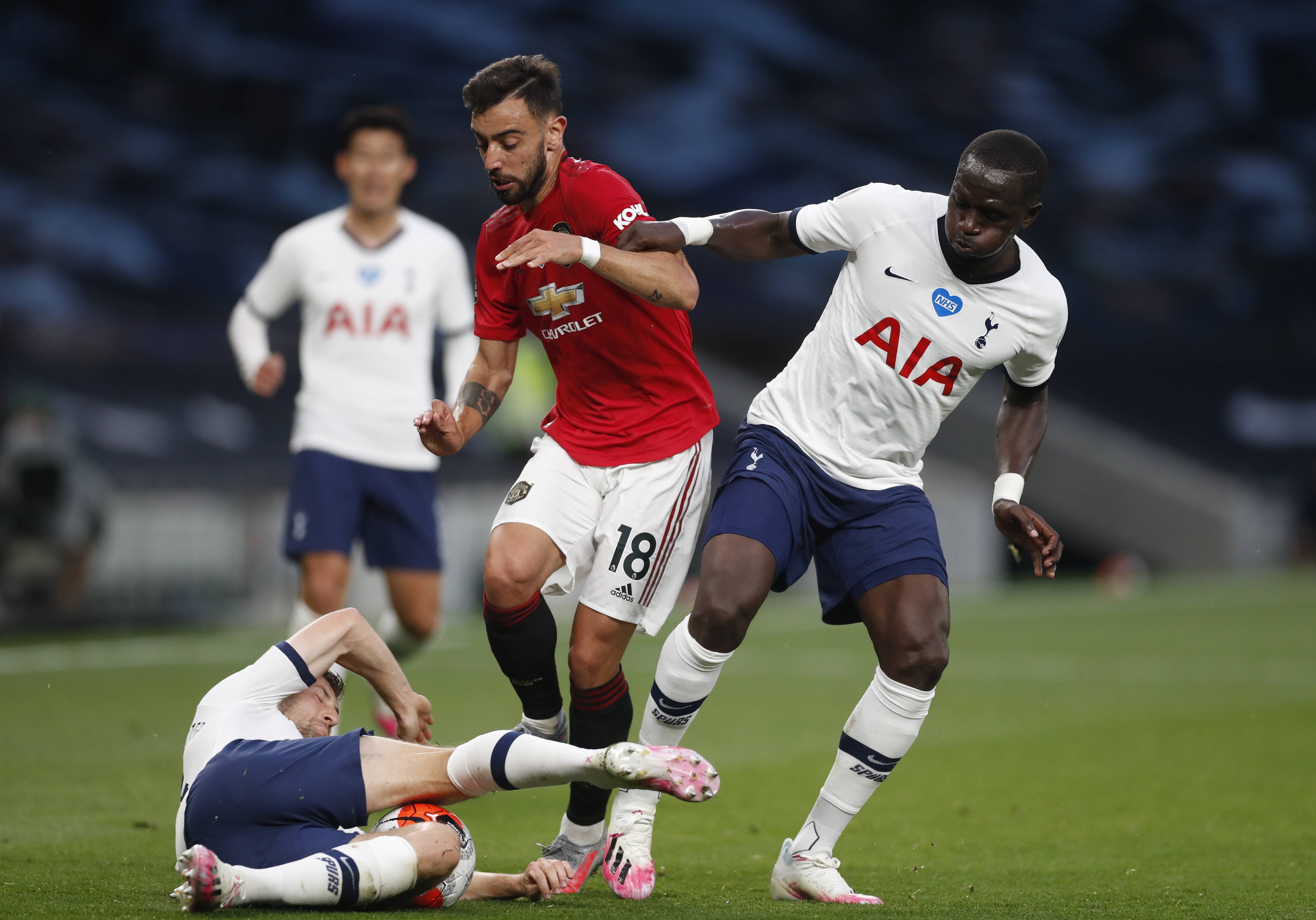 引进和本土 引进和本土